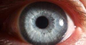 La retina ocular puede mostrar enfermedades cerebrales