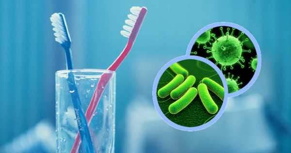 Cepillos dentales ¿Fuentes de bacterias y enfermedades